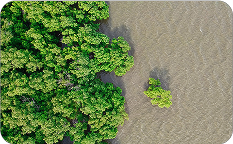 Malaysia: Sustainable living for all