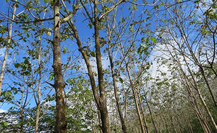 Paliyan Wildlife Sanctuary Thumbnail