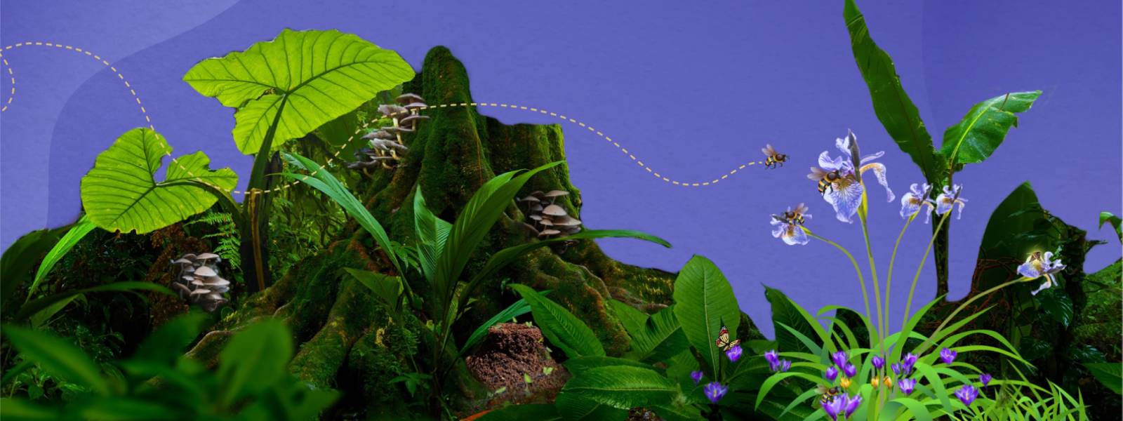 carboon_footprints_banner
